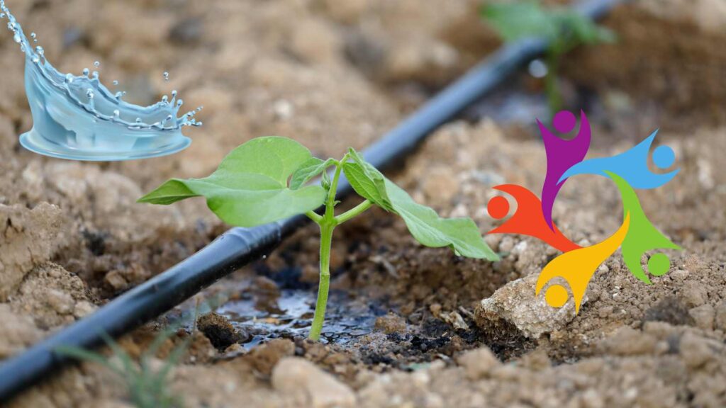 Drip Network Calculator Simplifying Your Irrigation Planning